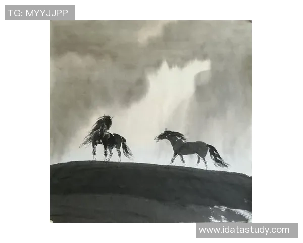 极限运动的风云岁月赵军专访分享个人历程与心路历程