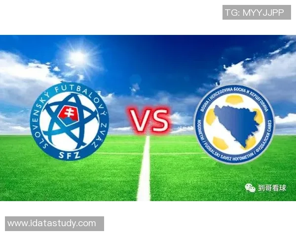 北爱尔兰对阵波黑赛事分析及胜负推荐详解